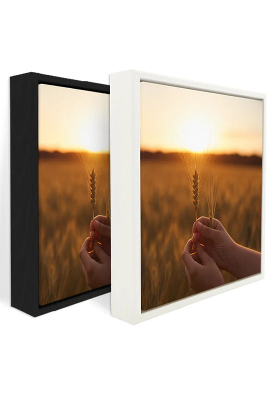 Tela americana quadrata 20x20