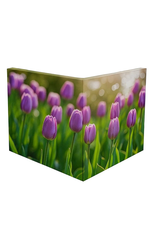 Personalizza tela angolare 60x30